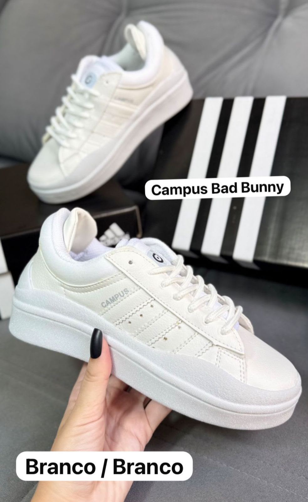 Adidas Campus x Bad Bunny — Varios Colores